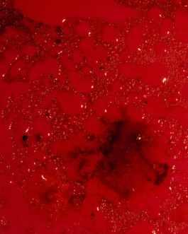 Johannes Schriek |photographer |Dortmund