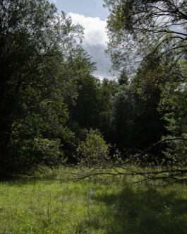 Johannes Schriek |photographer |Dortmund