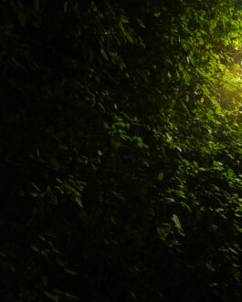 Johannes Schriek |photographer |Dortmund