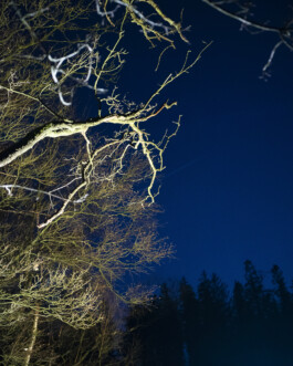 Johannes Schriek |photographer |Dortmund