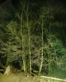 Johannes Schriek |photographer |Dortmund