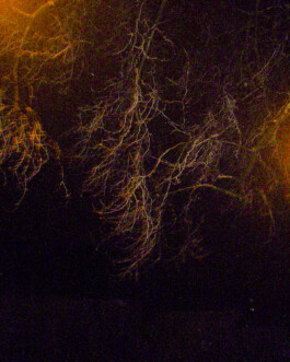 Johannes Schriek |photographer |Dortmund