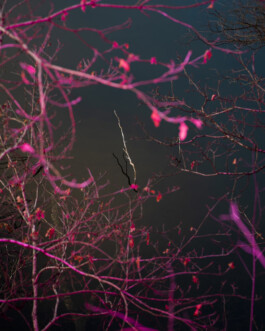 Johannes Schriek |photographer |Dortmund