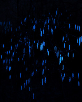 Johannes Schriek |photographer |Dortmund