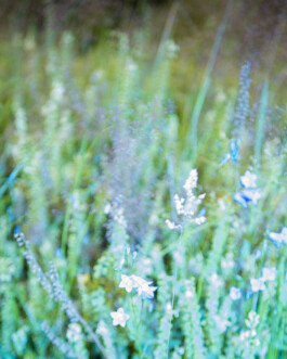 Johannes Schriek |photographer |Dortmund