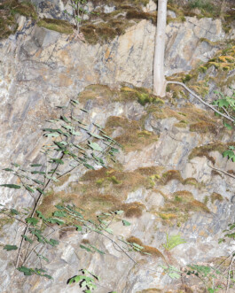 Johannes Schriek |photographer |Dortmund