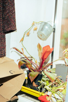 Johannes Schriek |photographer |Dortmund