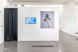 Johannes Schriek |photographer |Dortmund