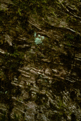 Johannes Schriek |photographer |Dortmund