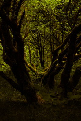 Johannes Schriek |photographer |Dortmund