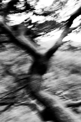 Johannes Schriek |photographer |Dortmund