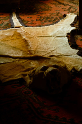 Johannes Schriek |photographer |Dortmund