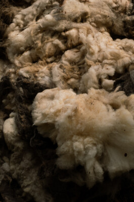 Johannes Schriek |photographer |Dortmund