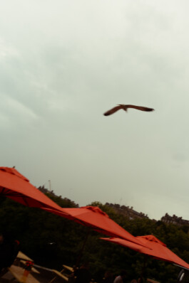 Johannes Schriek |photographer |Dortmund