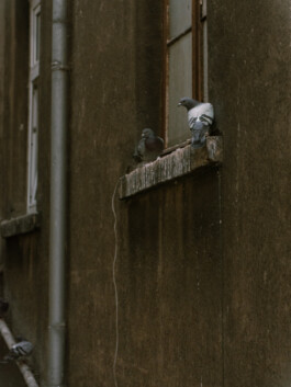 Johannes Schriek |photographer |Dortmund