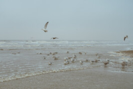 Johannes Schriek |photographer |Dortmund