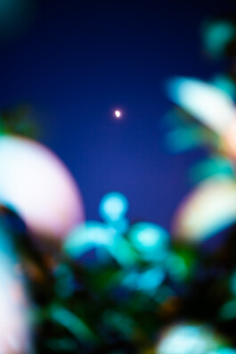 Johannes Schriek |photographer |Dortmund