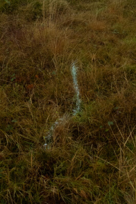 Johannes Schriek |photographer |Dortmund