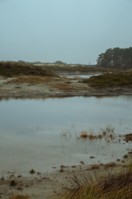 Johannes Schriek |photographer |Dortmund