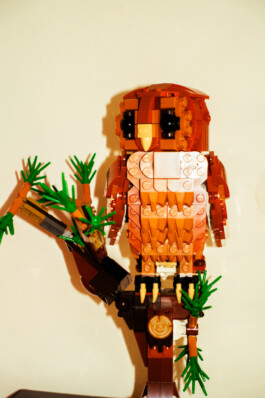 Johannes Schriek |photographer |Dortmund