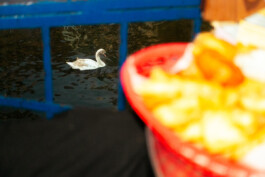 Johannes Schriek |photographer |Dortmund