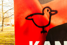 Johannes Schriek |photographer |Dortmund