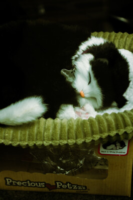 Johannes Schriek |photographer |Dortmund