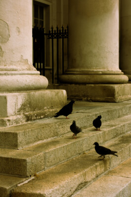 Johannes Schriek |photographer |Dortmund