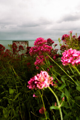 Johannes Schriek |photographer |Dortmund
