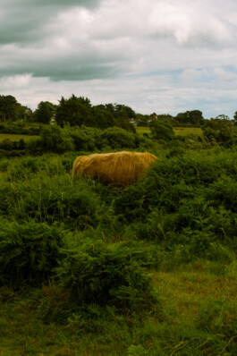 Johannes Schriek |photographer |Dortmund