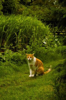 Johannes Schriek |photographer |Dortmund