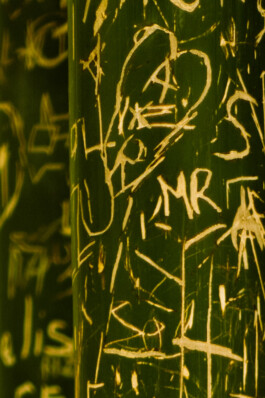 Johannes Schriek |photographer |Dortmund