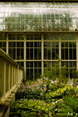 Johannes Schriek |photographer |Dortmund