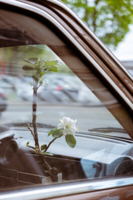 Johannes Schriek |photographer |Dortmund