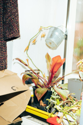 JOHANNES SCHRIEK | PORTRAIT | REPORTAGE