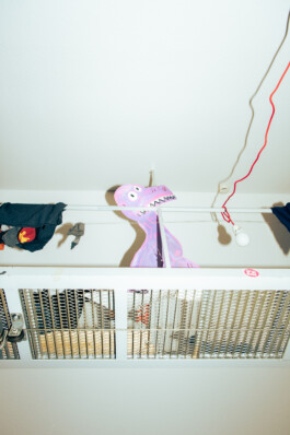 JOHANNES SCHRIEK | PORTRAIT | REPORTAGE